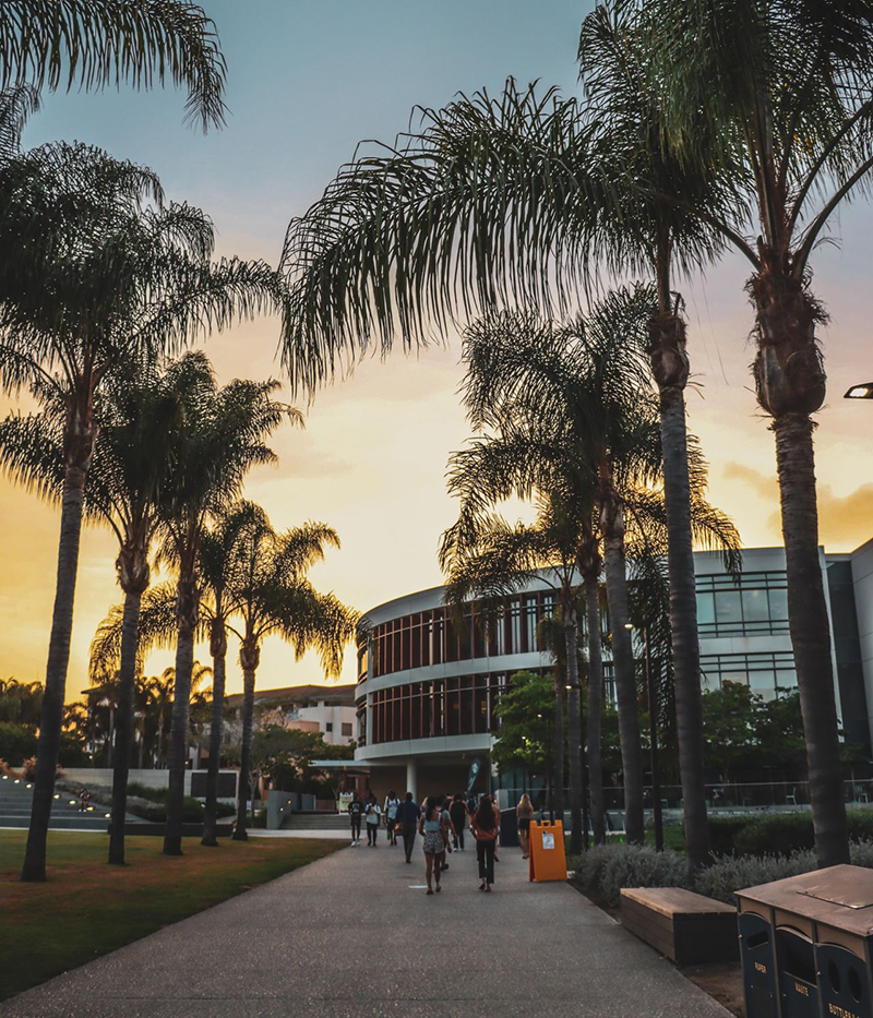 Palm walk at Lawton Plaza during sunset with Hannon library in the background.